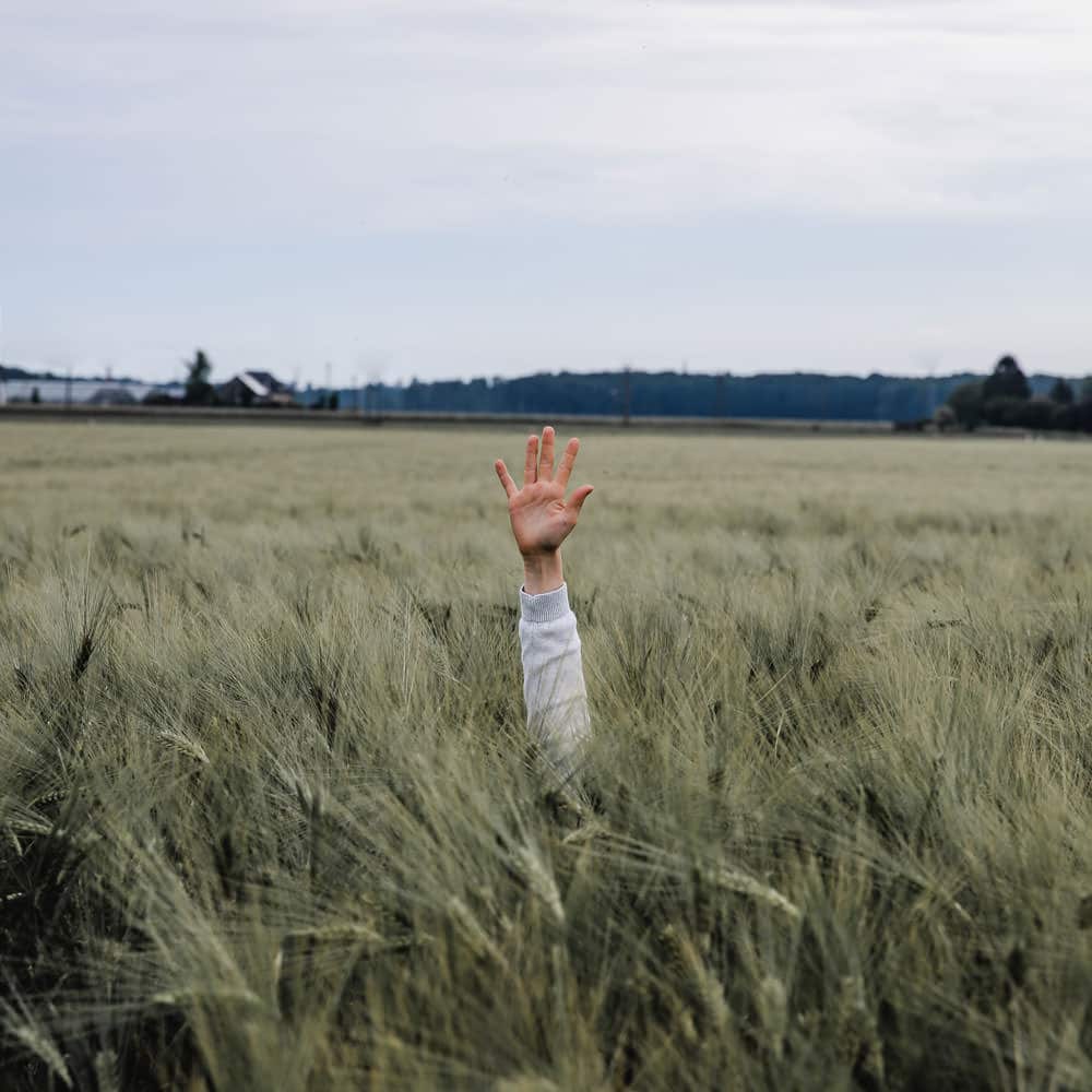 Webspatz Webdesign GmbH | WordPress Support