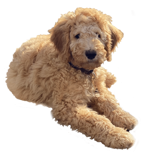 Webspatz kennenlernen 2 WEBSPATZ WEBDESIGN GmbH