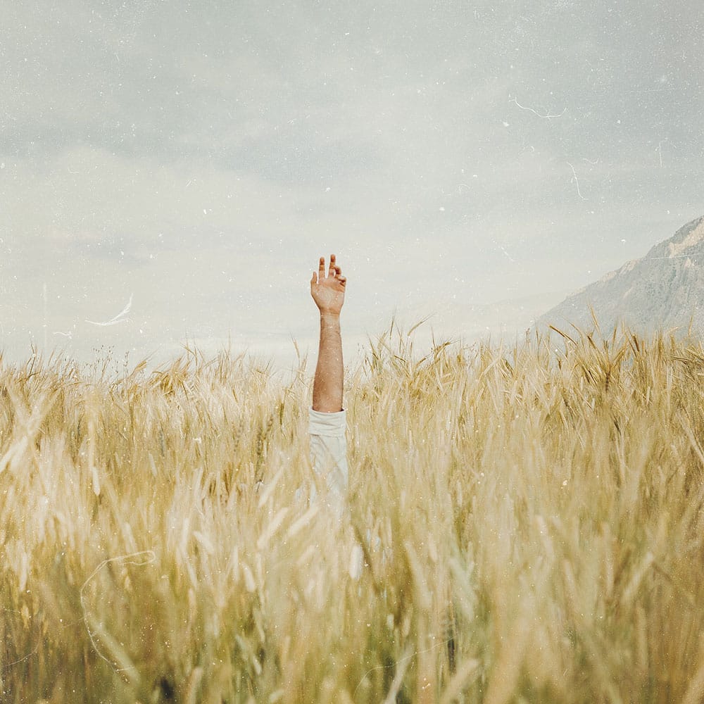 Elementor Support 1 WEBSPATZ WEBDESIGN GmbH