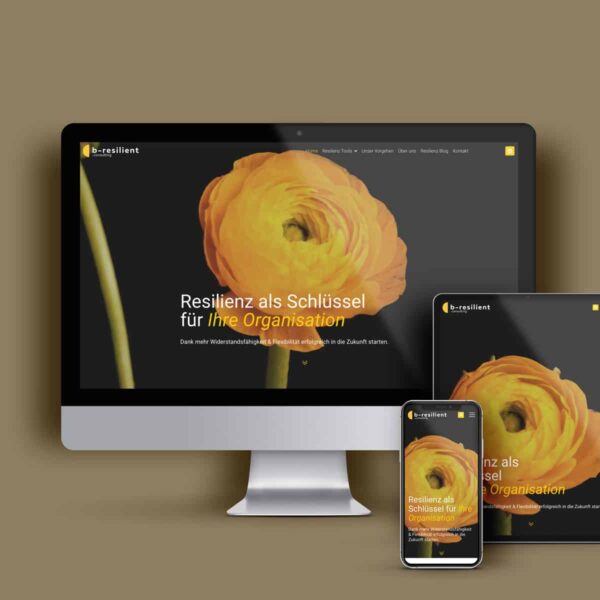 b-resilient Consulting 6 WEBSPATZ WEBDESIGN GmbH