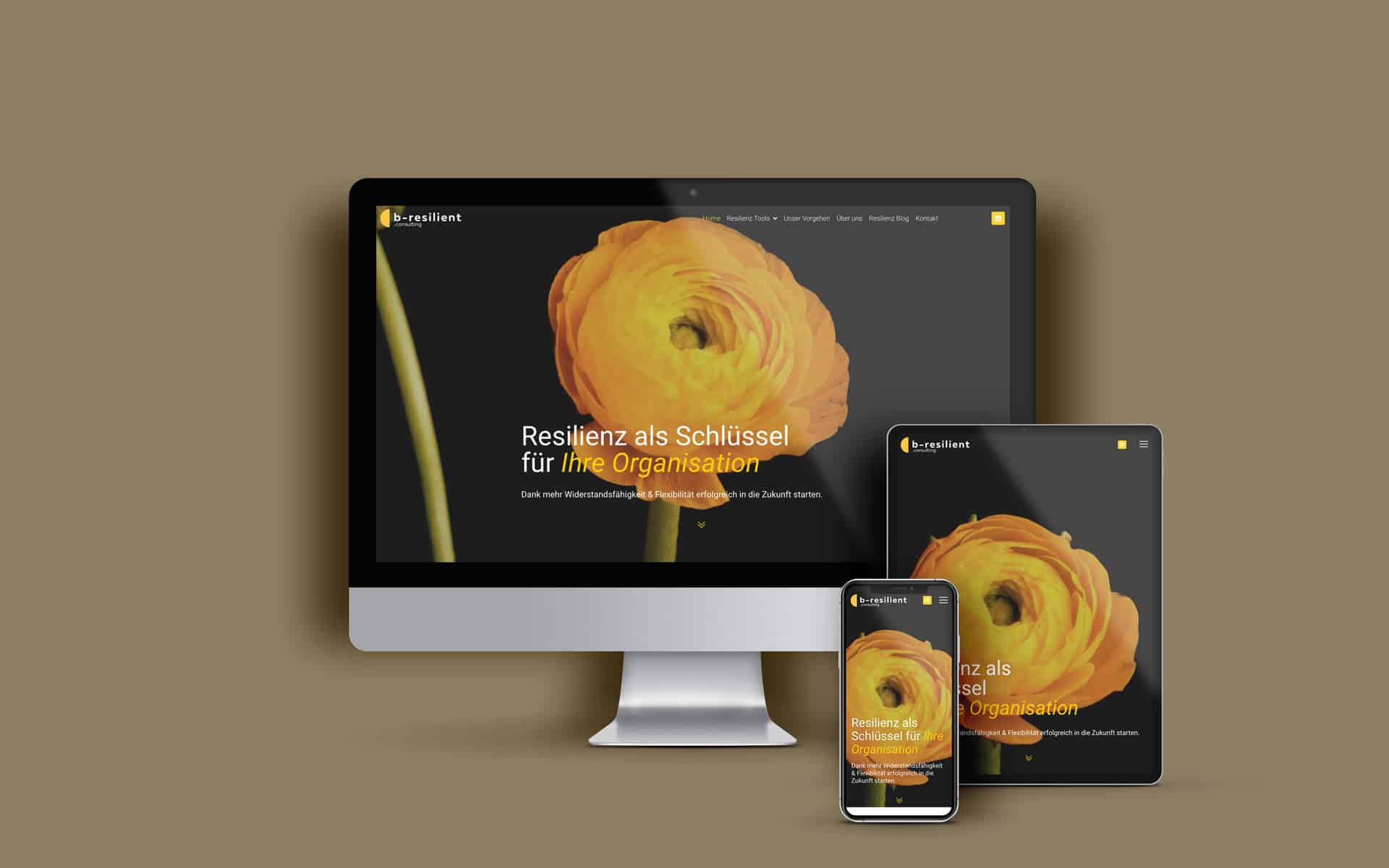 b-resilient Consulting 2 WEBSPATZ WEBDESIGN GmbH b-resilient Consulting 1 WEBSPATZ WEBDESIGN GmbH